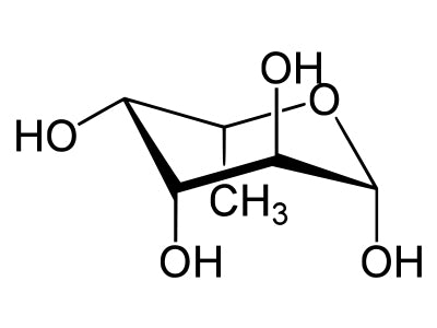 Fucose Binding Lectins