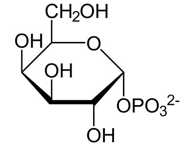 Galactose Binding Lectins