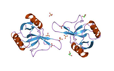 Glyco-Signaling Pathways