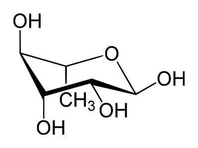 Rhamnose Binding Lectins