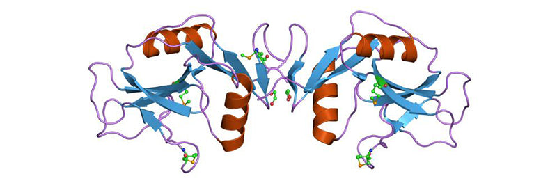 Semi-Pure Lectins