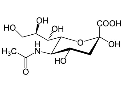 Sialic Acid Binding Lectins