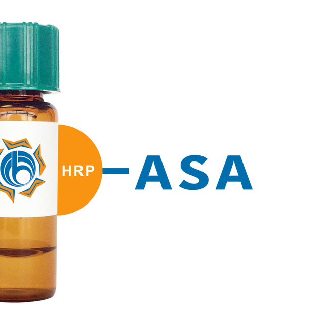 Allium sativum Lectin (ASA) - HRP (Horseradish Peroxidase)