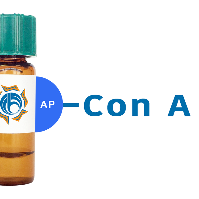 Concanavalin A Lectin (Con A) - AP (Alkaline Phosphatase)