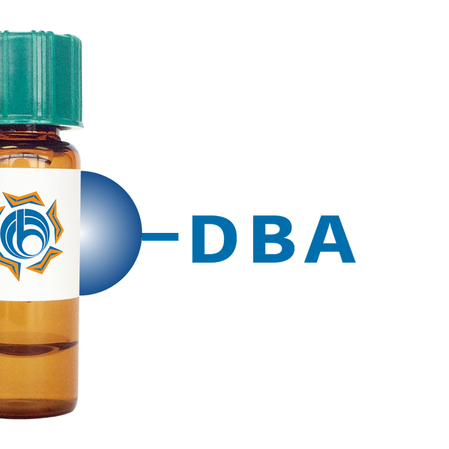 Dolichos biflorus Lectin (DBA) - Separopore® 4B