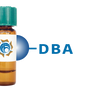 Dolichos biflorus Lectin (DBA) - Separopore® 4B