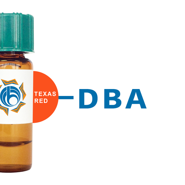 Dolichos biflorus Lectin (DBA) - Texas Red