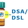 Datura stramonium Lectin (DSA/DSL) - FITC (Fluorescein)