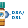 Datura stramonium Lectin (DSA/DSL) - Separopore® 4B
