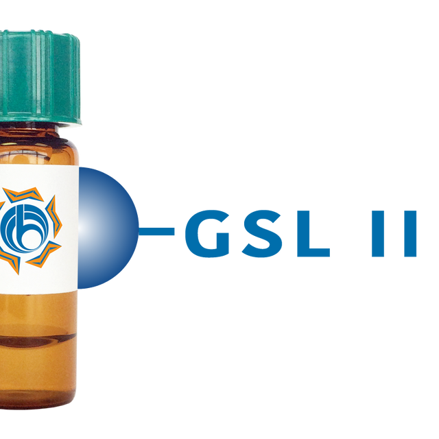 Griffonia simplicifolia Lectin (GSL II) - Separopore® 4B