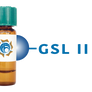 Griffonia simplicifolia Lectin (GSL II) - Separopore® 4B