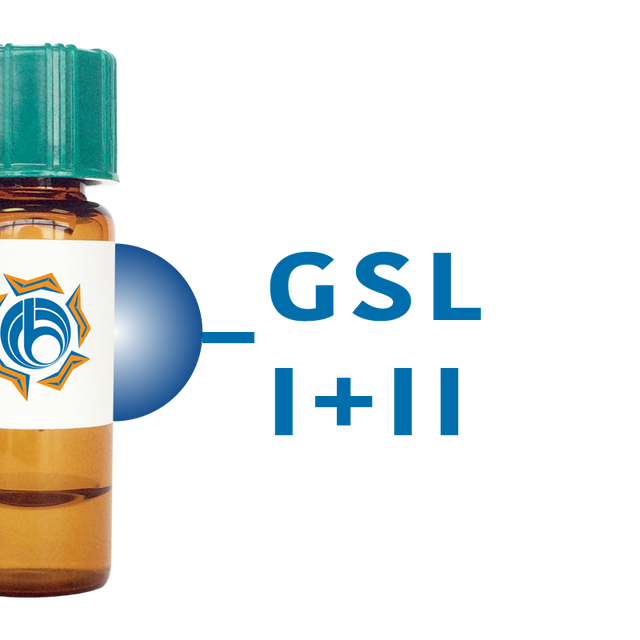 Griffonia simplicifolia Lectin (GSL I+II) - Separopore® 4B
