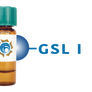 Griffonia simplicifolia Lectin (GSL I) - Separopore® 4B