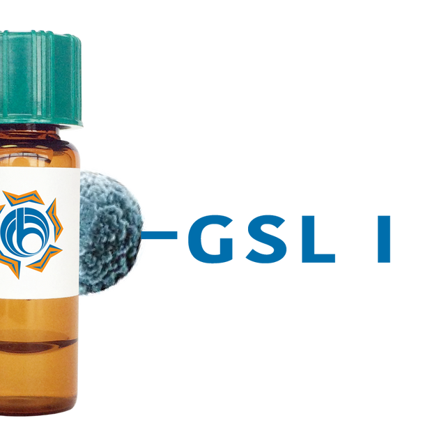 Griffonia simplicifolia Lectin (GSL I) - MagneZoom™