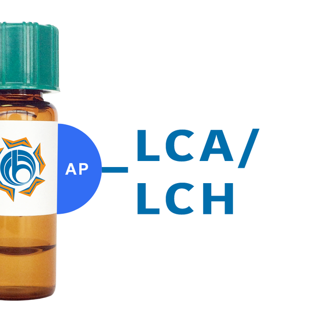 Lens culinaris Lectin (LCA/LCH) - AP (Alkaline Phosphatase)