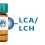 Lens culinaris Lectin (LCA/LCH) - Separopore® 4B