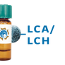 Lens culinaris Lectin (LCA/LCH) - MagneZoom™