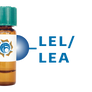 Lycopersicon esculentum Lectin (LEL/LEA) - Separopore® 4B