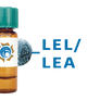 Lycopersicon esculentum Lectin (LEL/LEA) - MagneZoom™