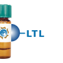 Lotus tetragonolobus Lectin (LTL) - Separopore® 4B