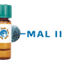 Maackia amurensis Lectin (MAA/MAL II) - MagneZoom™