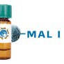 Maackia amurensis Lectin (MAA/MAL I) - MagneZoom™