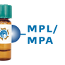 Maclura pomifera Lectin (MPL/MPA) - Separopore® 4B