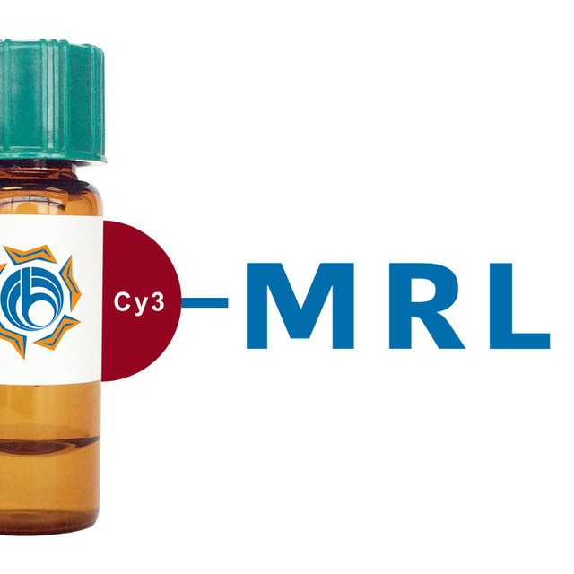 Morus rubra Lectin (MRL) - Cy3