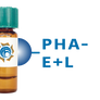 Phaseolus vulgaris Lectin (PHA-E+L) - Separopore® 4B