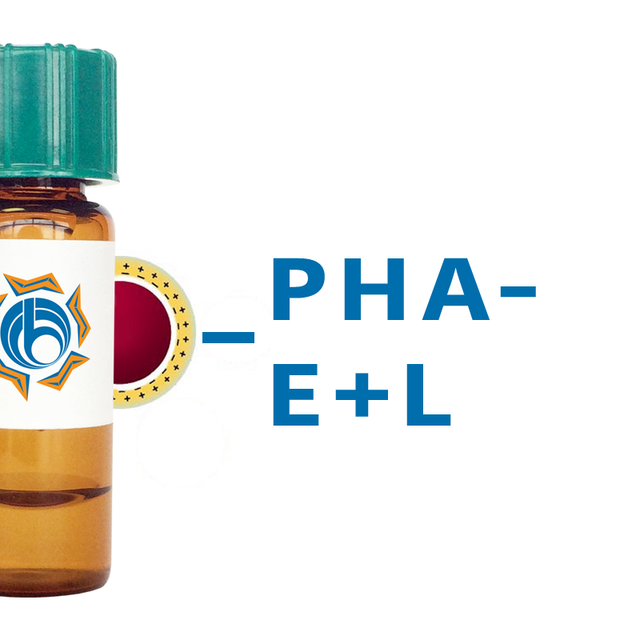 Phaseolus vulgaris Lectin (PHA-E+L) - Colloidal Gold
