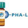 Phaseolus vulgaris Lectin (PHA-L) - Separopore® 4B