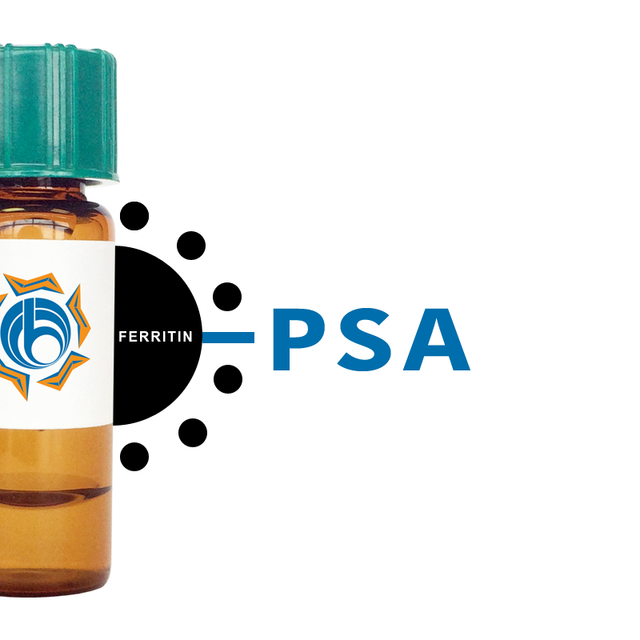 Pisum sativum Lectin (PSA/PSL) - Ferritin