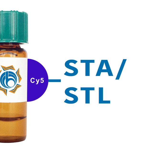 Solanum tuberosum Lectin (STA/STL) - Cy5