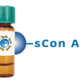 Succinylated Concanavalin A Lectin (Succ Con A) - Separopore® 4B
