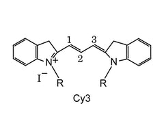 Cy3 Conjugated Lectins