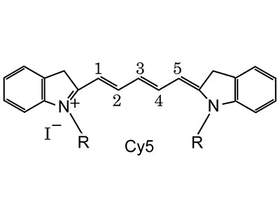 Cy5 Conjugated Lectins