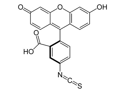 FITC (Fluorescein) Conjugated Lectins