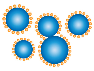 Macrobeads Conjugated Lectins