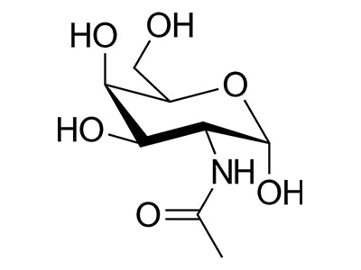 N-Acetyl-Galactosamine Binding Lectins