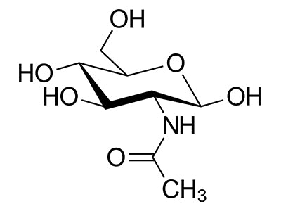N-Acetyl-Glucosamine Binding Lectins