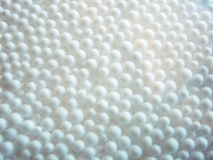 Polystyrene Conjugated Lectins