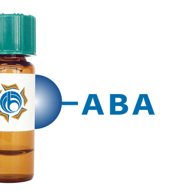 Agaricus bisporus Lectin (ABA/ABL) - Separopore® 4B