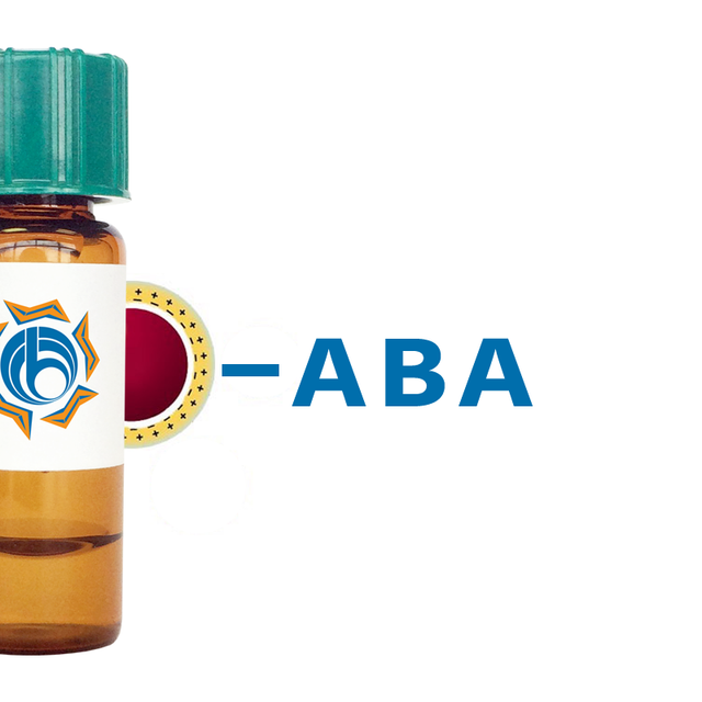 Agaricus bisporus Lectin (ABA/ABL) - Colloidal Gold