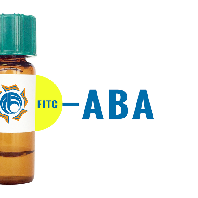Agaricus bisporus Lectin (ABA/ABL) - FITC (Fluorescein)