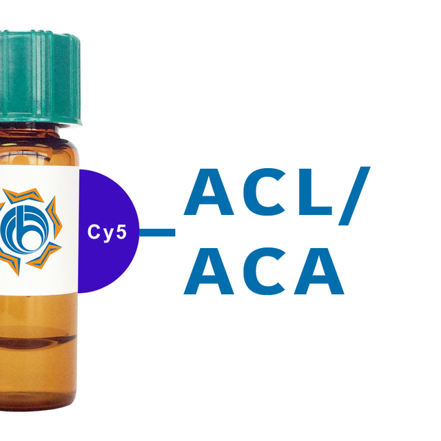 Amaranthus caudatus Lectin (ACL/ACA) - Cy5