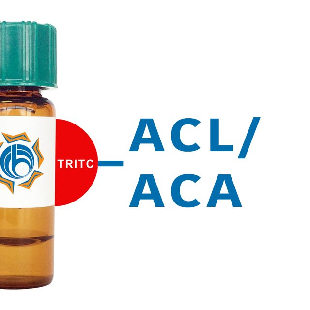 Amaranthus caudatus Lectin (ACL/ACA) - TRITC (Rhodamine)