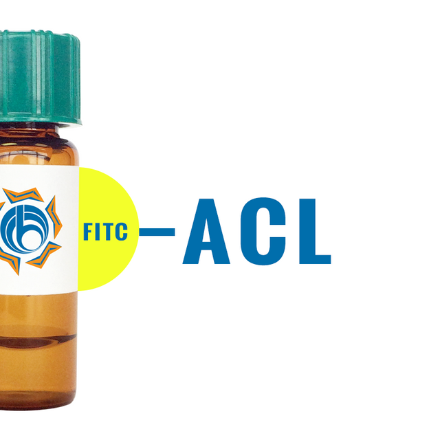 Amaranthus caudatus Lectin (ACL/ACA) - FITC (Fluorescein)