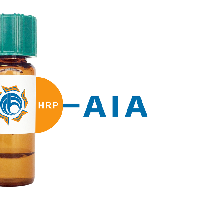 Artocarpus integrifolia Lectin (AIA) - HRP (Horseradish Peroxidase)