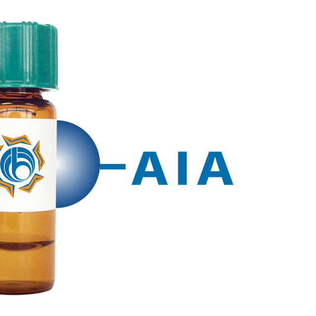 Artocarpus integrifolia Lectin (AIA) - Separopore® 4B