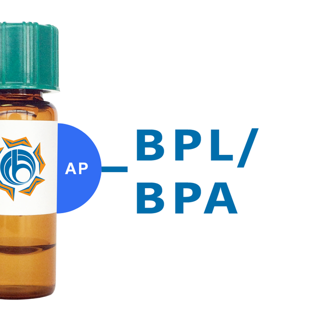 Bauhinia purpurea Lectin (BPL/BPA) - AP (Alkaline Phosphatase)